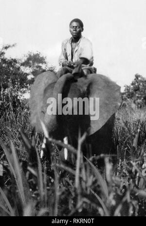 Elephant come un mezzo di trasporto, zululand, sud africa africa 19201930 Foto Stock