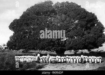 Africa, Eritrea, una intera società di askaris sotto un platano gigante, 1910-20 Foto Stock