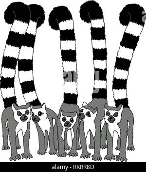 Vector cartoon clipart animale carino striped lemuri Illustrazione Vettoriale