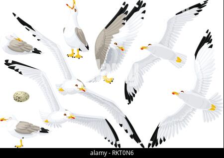 Vector cartoon seagull sea gull cliparts impostato Illustrazione Vettoriale