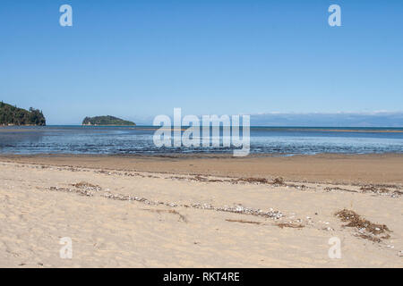 Spiaggia nel Parco Nazionale Abel Tasman, Nuova Zelanda Foto Stock