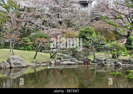 Tokyo, Giappone - la fioritura dei ciliegi (Sakura) al famoso parco Sumida. Petali di ciliegio blizzard. Foto Stock