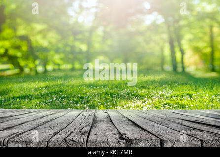Tavolo in legno ed erba di primavera con fiori e foglie di albero sullo sfondo Foto Stock