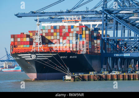 Costruito nel 2015 il MSC Maya è uno dei più grandi del mondo navi container. Foto Stock