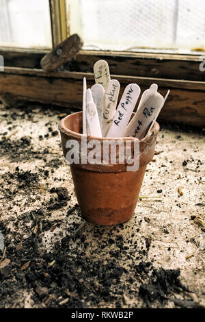 Impianto di etichette in un Potting Shed. Foto Stock