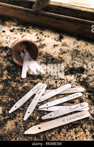 Impianto di etichette in un Potting Shed. Foto Stock