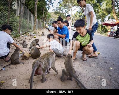 Sihanoukville, Preah Sihanouk, Cambogia. 12 Feb, 2019. I turisti cinesi feed scimmie macaco vicino indipendenza spiaggia di Sihanoukville. Ci sono circa 50 casinò cinese e resort hotel aperto o in costruzione in Sihanoukville. I CASINÒ sono cambiando la città, una volta che una sonnolenta porta sul sudest asiatico del ''backpacker trail'' in una fiorente città. Il cambiamento è in arrivo con un costo però. Molti residenti cambogiano di Sihanoukville hanno perso le loro case per fare la strada per il casinò e i lavori sono in corso per lavoratori cinesi, portò alla costruzione di casinò e di lavorare nei casinò. (Credito Foto Stock