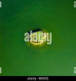 Piccola isola verde, antenna Top Down vista verticale Foto Stock