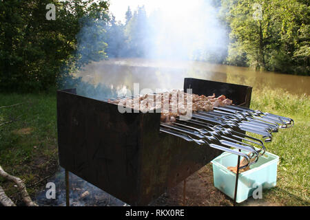 Barbecue / shish kebab in aria aperta Foto Stock