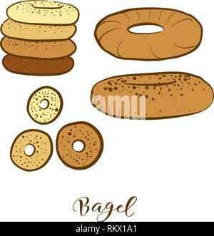 Schizzi colorati di Bagel pane. Vettore di disegno di pane di lievito alimentare, usualmente noto in polacco, Ashkenazi, ebraica. Pane colorato illustrazione serie. Illustrazione Vettoriale