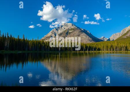 Buller montagna nella valle di spruzzo Parco Provinciale, Kananaskis, Alberta, Canada riflettendo in Buller stagno Foto Stock