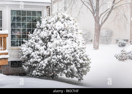 Tempesta di neve tempesta meteo nevica fuori all'aperto e con rami di alberi coperti di neve in cantiere nel cortile di casa in Virginia Foto Stock