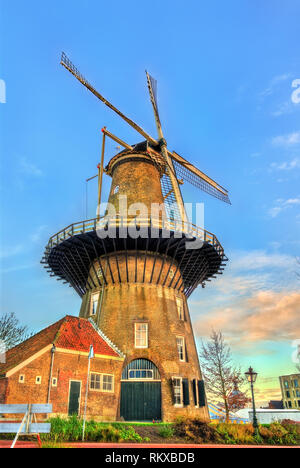 De Valk, un tower mill in Leiden, Paesi Bassi Foto Stock