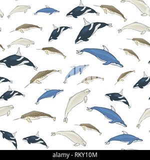 Modello senza giunture di fumetto di balene. Set di specie di balene su uno sfondo bianco. Illustrazione Vettoriale Illustrazione Vettoriale
