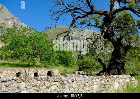 Una vista di un tradizionale di pietra animal shelter e composto nelle montagne della Sierra Subbetica, in provincia di Cordoba, Andalusia. Foto Stock