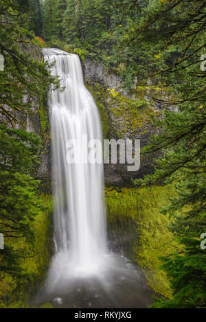 Salt Creek Falls, Willamette National Forest, Oregon. Foto Stock