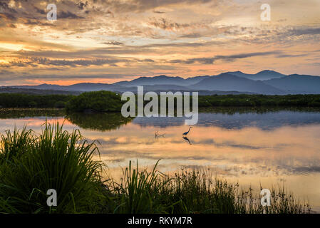 Sunrise all'estuario di San Blas, Nayarit, Messico. Foto Stock