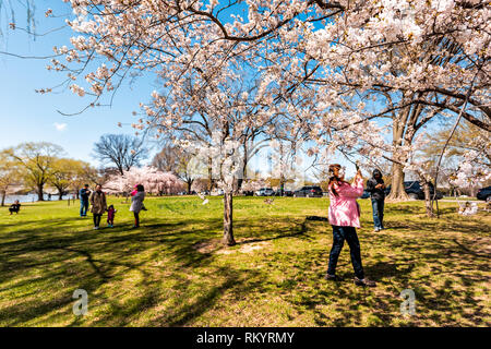 Washington DC, Stati Uniti d'America - Aprile 5, 2018: turisti gente che prende le immagini da fiore di ciliegio sakura alberi in primavera su West Potomac park sul National Mall Foto Stock