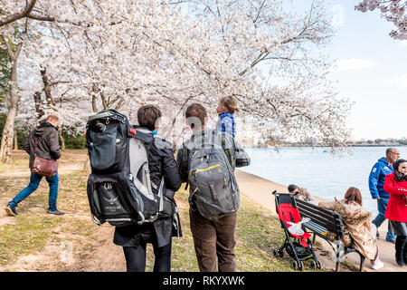 Washington DC, Stati Uniti d'America - Aprile 5, 2018: famiglia di tre giovane con bambino la gente camminare lungo il bacino di marea sul fiore di ciliegio sakura alberi festival di primavera Foto Stock