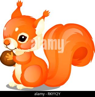 Carino animate scoiattolo soffici e dado isolato su sfondo bianco. Vector cartoon close-up illustrazione. Illustrazione Vettoriale