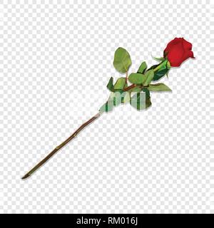 Foto realistiche, estremamente dettagliati Red Rose sul gambo lungo isolato su sfondo trasparente. Bellissima gemma di fiore. Clip Art per San Valentino, amore, mer Illustrazione Vettoriale