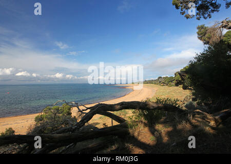 Visitare l'Australia. Scenic e viste sul meraviglioso paese e continente australiano. Foto Stock