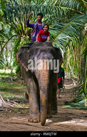 Vajra Garrett cavalcate un elefante a un eco resort - Khao Sok, Thailandia Foto Stock