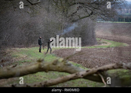 Tradizionale gioco inglese riprese in autunno campagna con la pistola cani. Foto Stock