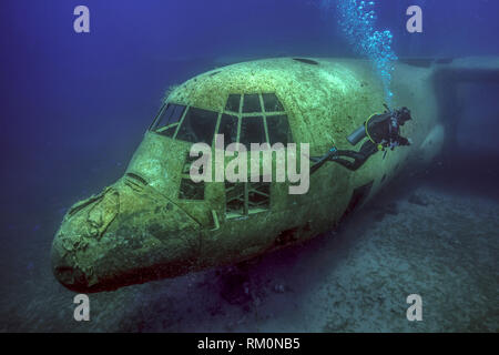 Un subacqueo nuota lungo il cockpit del relitto di una C-130 cargo aereo nelle acque del mar rosso nei pressi di Aqaba in Giordania. Foto Stock