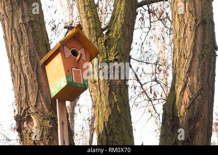 Fatte a mano birdhouse appeso a un albero nel frutteto. Legno a mano rifugio per gli uccelli di trascorrere l'inverno. Foto Stock