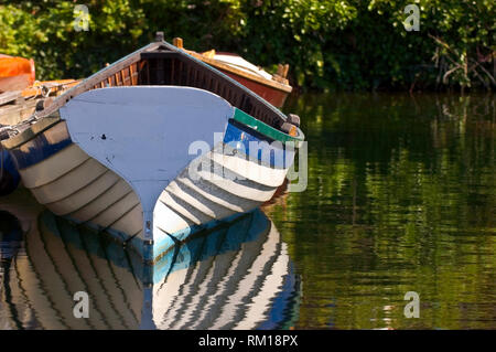 Canotto in acqua Foto Stock