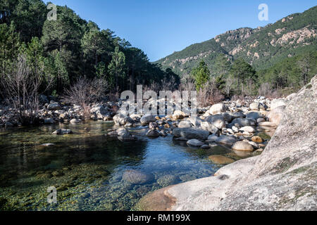 Pura e di acqua dolce del fiume e piscina naturale in Corsica, Francia, Europa (fiume Solenzara) Foto Stock