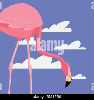 Carino flamingo sky nuvole sfondo illustrazione vettoriale Illustrazione Vettoriale