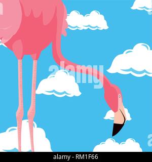 Carino flamingo sky nuvole sfondo illustrazione vettoriale Illustrazione Vettoriale