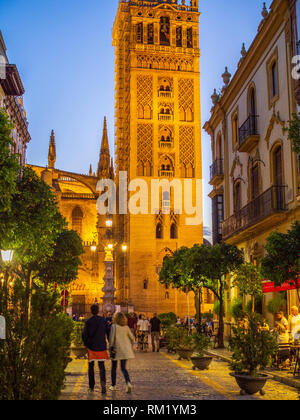 Cattedrale di Siviglia è intricato del XII secolo giralda, precedentemente un minareto. Costruito sul sito di Moorish del XII secolo moschea Almohade, la cattedrale è Foto Stock