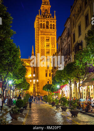 Cattedrale di Siviglia è intricato del XII secolo giralda, precedentemente un minareto. Costruito sul sito di Moorish del XII secolo moschea Almohade, la cattedrale è Foto Stock