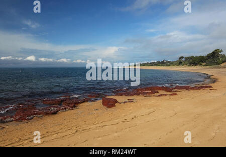 Visitare l'Australia. Scenic e viste sul meraviglioso paese e continente australiano. Foto Stock