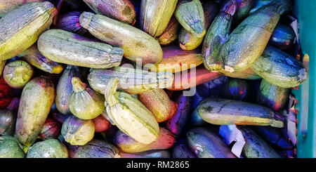 Vista dall'alto di una pila di zucchine Foto Stock