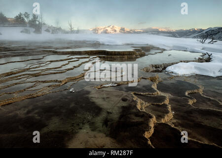 WY03617-00...WYOMING - Sunrise a terrazzi superiori di Mammoth Hot Springs in Yellowstone National Parkl. Foto Stock