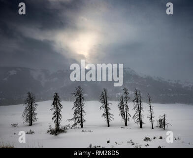 WY03646-00...WYOMING - tempestoso giorno nella Lamar Valle del Parco Nazionale di Yellowstone Foto Stock