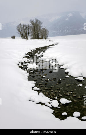 WY03649-00...WYOMING - tempestoso giorno nella Lamar Valle del Parco Nazionale di Yellowstone. Foto Stock