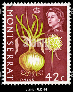 Francobollo da Montserrat in agricoltura prodotti serie emessa nel 1965 Foto Stock