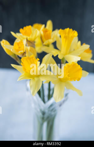 Un bouquet di daffodils irlandese (Lus un Chromchinn o narcisi) in un vaso di cristallo. Foto Stock