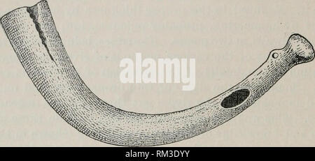 . Relazione annuale del consiglio di amministrazione di Regents dello Smithsonian Institution. Smithsonian Institution; Smithsonian Institution. Archivi; scoperte nel campo della scienza. 542 RELAZIONE DEL MUSEO NAZIONALE, 1896. Fig. 180 rappresenta un altro bronzo stampato a campana intera con estremità chiusa e bocca laterale foro, flauto di moda. È da Tralee, nella contea di Kerry, ed è stato descritto da Mr, Robert Bay.', come tig. 183, Las stata rotta attraverso il foro della bocca e riparato mediante colata di metallo caldo intorno la frattura fino a quando è stata fusa e uniti. La bocca. Fig. 170. Ho HllONZE};n. Cortesia negare, Irlanda. ^ dimensione naturale, foro è Foto Stock