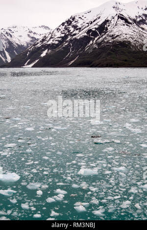 Acque ghiacciate e montagne presso il ghiacciaio Hubbard, Alaska, STATI UNITI D'AMERICA Foto Stock