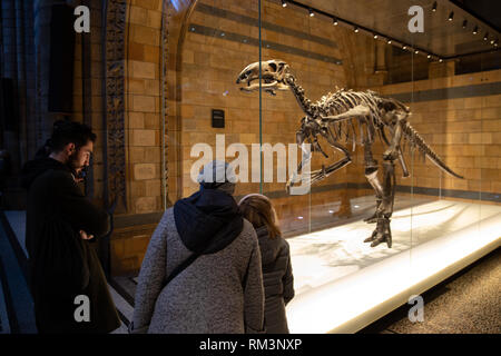 Un fossile di dinosauro scheletro nel Museo di Storia Naturale di Londra, Regno Unito Foto Stock
