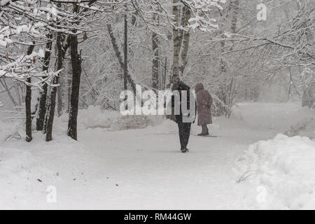 Mosca, Russia. 13 feb 2019. Meteo russa di Mosca. Mercoledì, 13 febbraio 2019. Tempesta di neve, Blizzard a Mosca. La temperatura è di circa -1C (+30,5 F), vento irregolare. Unidentified, irriconoscibile la gente a piedi lungo il vicolo di una coperta di neve park. Credito: Alex Immagini/Alamy Live News Foto Stock