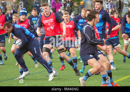 Clydebank, Scotland, Regno Unito. Il 13 febbraio, 2019. La Scozia e la Scozia U20s durante l'apertura sessione di formazione a Clydebank Community Sport mozzo, vicino a Glasgow, durante il Guinness Sei Nazioni maggese settimana. Iain McGuinness / Alamy Live News Foto Stock