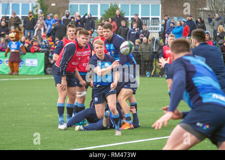 Clydebank, Scotland, Regno Unito. Il 13 febbraio, 2019. La Scozia e la Scozia U20s durante l'apertura sessione di formazione a Clydebank Community Sport mozzo, vicino a Glasgow, durante il Guinness Sei Nazioni maggese settimana. Iain McGuinness / Alamy Live News Foto Stock