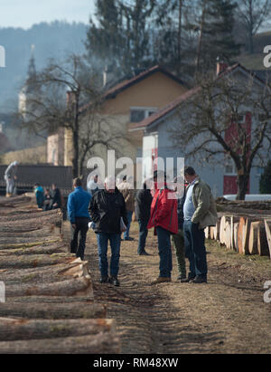 Slovenj Gradec, Slovenia. Xiii Febbraio, 2019. Persone stanno guardando il legname logs visualizzati durante l'asta. Più di 3700 di alta qualità dei registri di legno vengono visualizzati per un'asta nella piccola città slovena. Asta è mantenuta per 13 anni diritti in questa piccola città. Le offerte sono provenienti da tutto il mondo. Quest'anno la maggior parte di loro è venuto dalla Cina. Credito: Milos Vujinovic SOPA/images/ZUMA filo/Alamy Live News Foto Stock